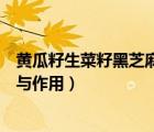 黄瓜籽生菜籽黑芝麻糊能治疗股骨头坏死（黄瓜籽粉的功效与作用）