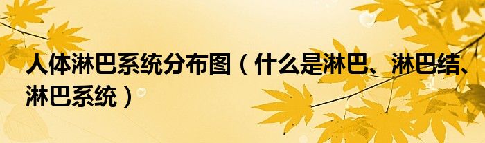 人体淋巴系统分布图（什么是淋巴、淋巴结、淋巴系统）