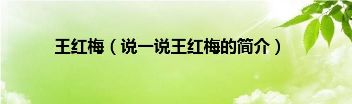 王红梅（说一说王红梅的简介）