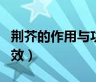 荆芥的作用与功效和副作用（荆芥的作用与功效）