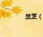 兰芝（说一说兰芝的简介）