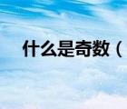 什么是奇数（说一说什么是奇数的简介）
