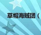 草帽海贼团（说一说草帽海贼团的简介）
