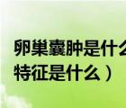 卵巢囊肿是什么原因造成的（卵巢囊肿的症状特征是什么）
