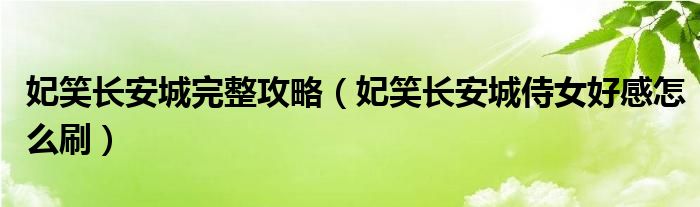 妃笑长安城完整攻略（妃笑长安城侍女好感怎么刷）