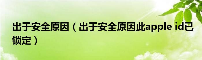 出于安全原因（出于安全原因此apple id已锁定）