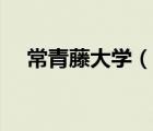 常青藤大学（说一说常青藤大学的简介）