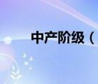 中产阶级（说一说中产阶级的简介）