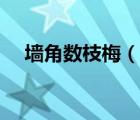 墙角数枝梅（说一说墙角数枝梅的简介）