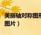 美丽轴对称图形图片怎么画（美丽轴对称图形图片）