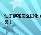 仙子伊布怎么进化（我的世界神奇宝贝伊布怎么进化仙子精灵）