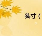 头寸（说一说头寸的简介）