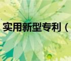 实用新型专利（说一说实用新型专利的简介）