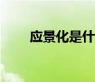 应景化是什么意思（应景什么意思）