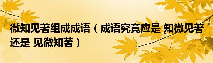 微知见著组成成语（成语究竟应是 知微见著 还是 见微知著）