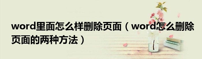 word里面怎么样删除页面（word怎么删除页面的两种方法）