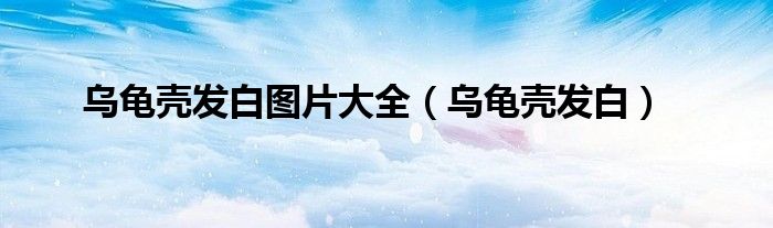 乌龟壳发白图片大全（乌龟壳发白）