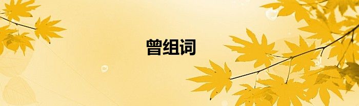 曾组词