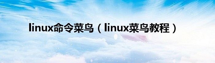 linux命令菜鸟（linux菜鸟教程）