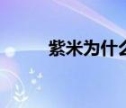 紫米为什么是粗粮（什么是粗粮）