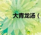 大青龙汤（说一说大青龙汤的简介）