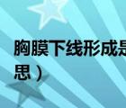 胸膜下线形成是什么意思（胸膜下线是什么意思）