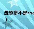 流感是不是rna病毒（流感病毒是RNA病毒吗）