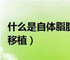 什么是自体脂肪移植安全吗（什么是自体脂肪移植）