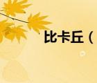 比卡丘（说一说比卡丘的简介）