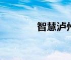 智慧泸州人社（泸州人论坛）