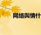 网络舆情什么意思（舆情什么意思）