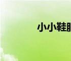 小小鞋服靠谱吗（小小鞋服）