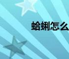 蛤蜊怎么读拼音（蛤蛎怎么读）