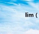 lim（说一说lim的简介）