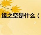 缘之空是什么（说一说缘之空是什么的简介）