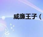 威廉王子（说一说威廉王子的简介）