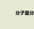 分子量分布系数（分子量分布）