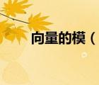 向量的模（说一说向量的模的简介）