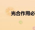光合作用必须是阳光吗（光合作用）