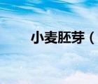 小麦胚芽（说一说小麦胚芽的简介）
