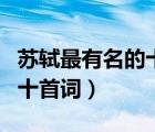 苏轼最有名的十首词一别两宽（苏轼最有名的十首词）