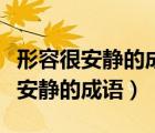 形容很安静的成语针掉地下都能听见（形容很安静的成语）