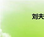 刘夫洋说唱（刘夫洋）
