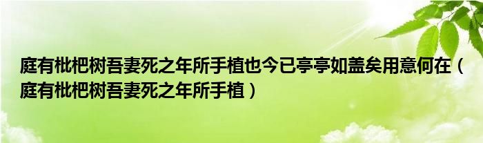 庭有枇杷树吾妻死之年所手植也今已亭亭如盖矣用意何在（庭有枇杷树吾妻死之年所手植）