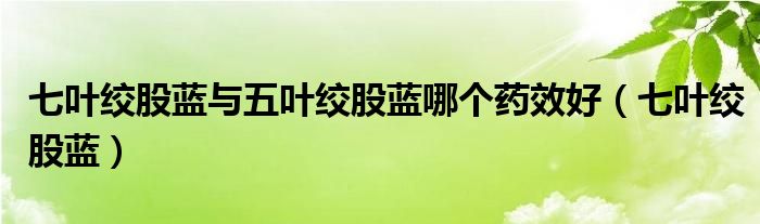 七叶绞股蓝与五叶绞股蓝哪个药效好（七叶绞股蓝）
