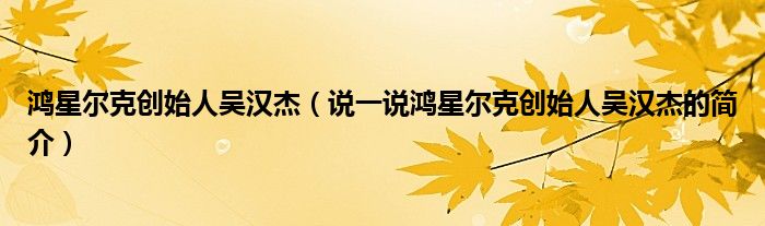 鸿星尔克创始人吴汉杰（说一说鸿星尔克创始人吴汉杰的简介）