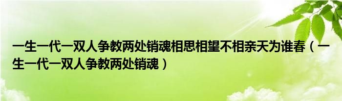 一生一代一双人争教两处销魂相思相望不相亲天为谁春（一生一代一双人争教两处销魂）