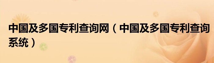 中国及多国专利查询网（中国及多国专利查询系统）