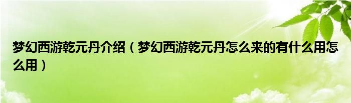 梦幻西游乾元丹介绍（梦幻西游乾元丹怎么来的有什么用怎么用）