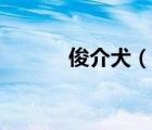 俊介犬（说一说俊介犬的简介）
